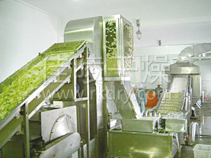 DWC系列脫水蔬菜帶式干燥機(jī)